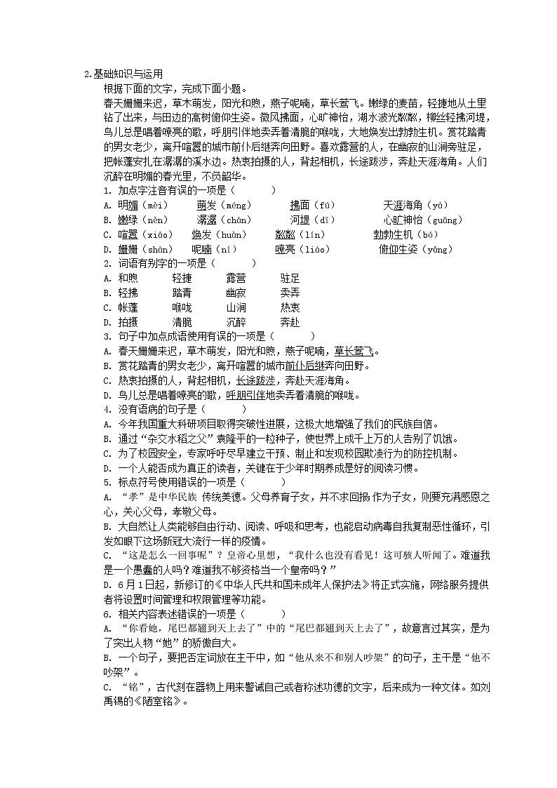 2022年中考语文二轮专题复习《基础知识积累与运用》九(含答案)第2页