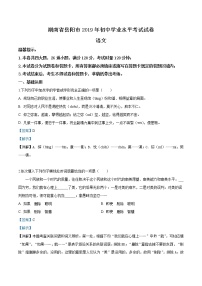 2019年湖南省岳阳市中考语文试题（解析版）