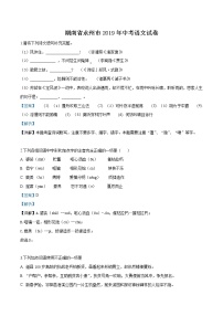 2019年湖南省永州市中考语文试题（解析版）