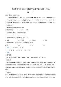2019年贵州省毕节市中考语文试题（解析版）