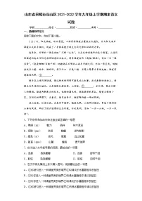 山东省日照市岚山区2021-2022学年九年级上学期期末语文试题（word版 含答案）