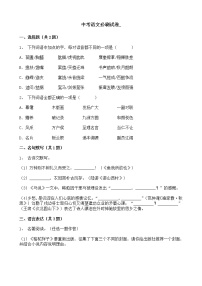 (河南专用)中考语文必刷试卷05（含答案解析）.doc