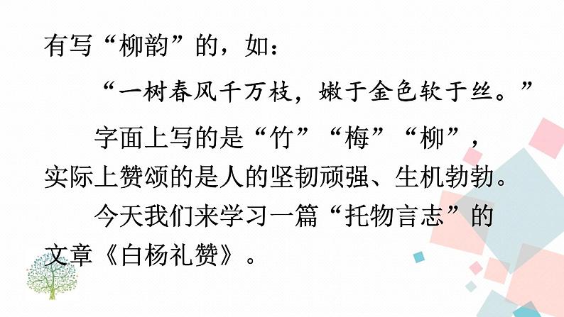 人教部编版 (五四制)语文八年级上册 15 白杨礼赞【教学课件】第2页