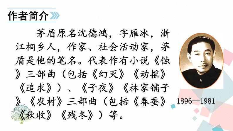 人教部编版 (五四制)语文八年级上册 15 白杨礼赞【教学课件】第6页