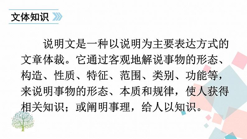 人教部编版 (五四制)语文八年级上册 第五单元 18 中国石拱桥【课件+教案+音视频素材】08