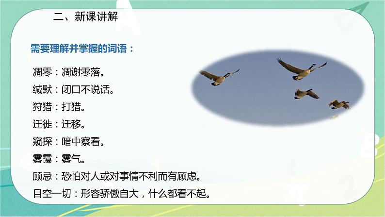 7 大雁归来-2021-2022学年八年级语文下册同步教学课件(部编版)05