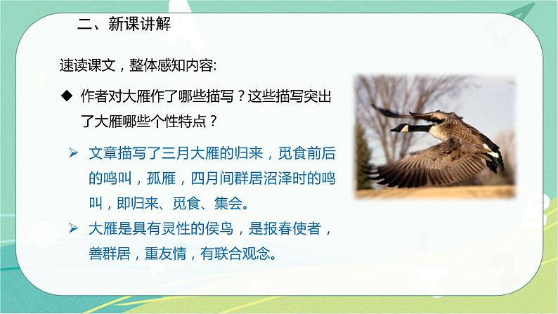 7 大雁归来-2021-2022学年八年级语文下册同步教学课件(部编版)08