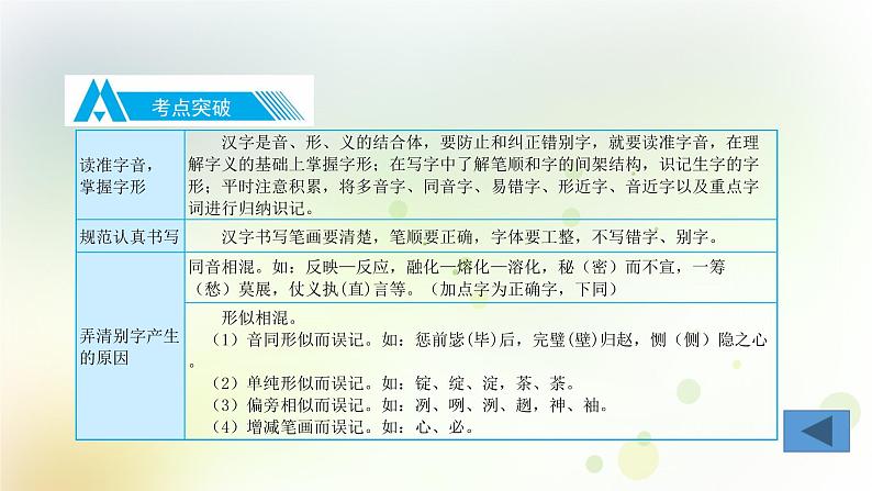 2.语文-第一部分 基础知识及运用-文字第4页