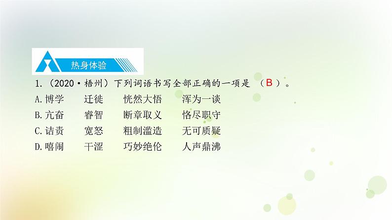 2.语文-第一部分 基础知识及运用-文字第8页