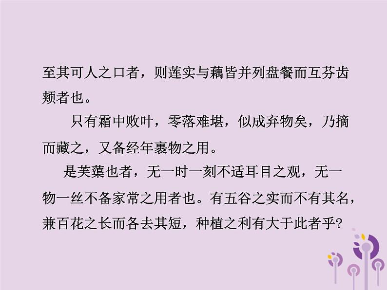 中考语文二轮复习文言文阅读《芙蕖》课件(含答案)第7页