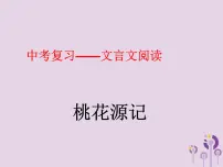 中考语文二轮复习文言文阅读《桃花源记》课件（含答案）