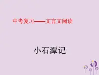 中考语文二轮复习文言文阅读《小石潭记》课件(含答案)