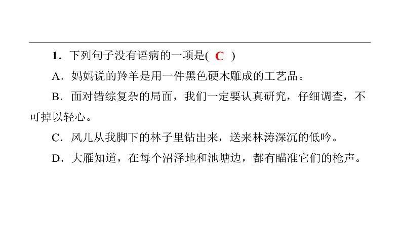 中考语文二轮专题复习训练05《病句辨析》课件(含答案)02