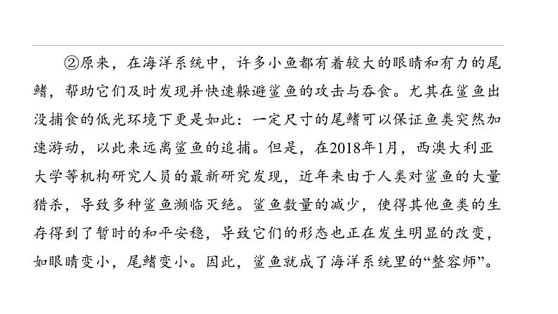 中考语文二轮专题复习训练09《说明文阅读》课件(含答案)第3页