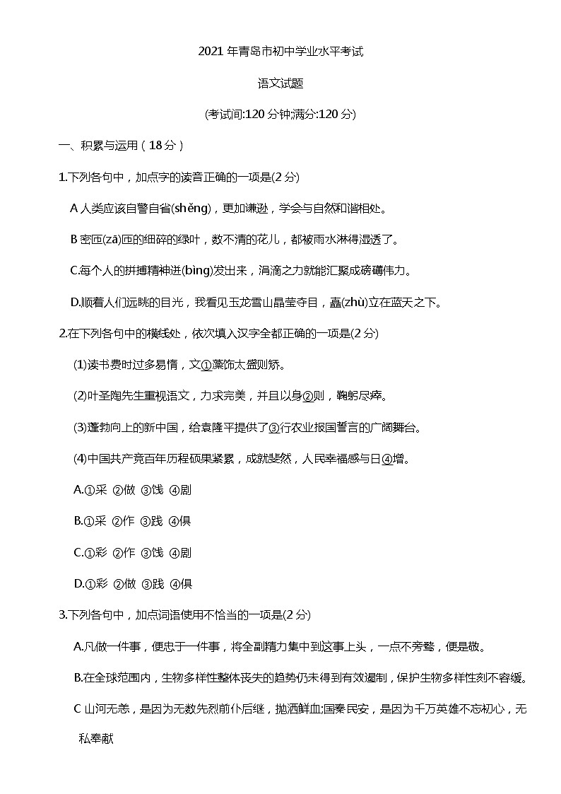 2021年山东省青岛市中考语文真题01