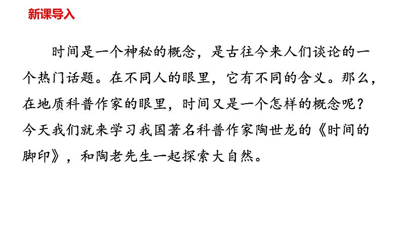 部编语文 八下 时间的脚印 课件第2页