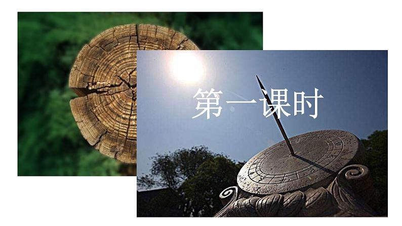 部编语文 八下 时间的脚印 课件第5页