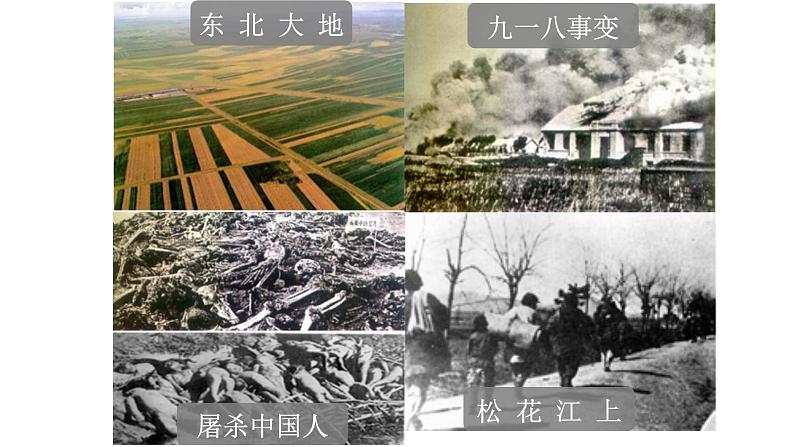 人教版七年级语文下册 第二单元 8 土地的誓言 课件05