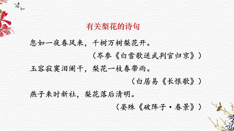 人教版七年级语文下册 第四单元 15 驿路梨花 课件03