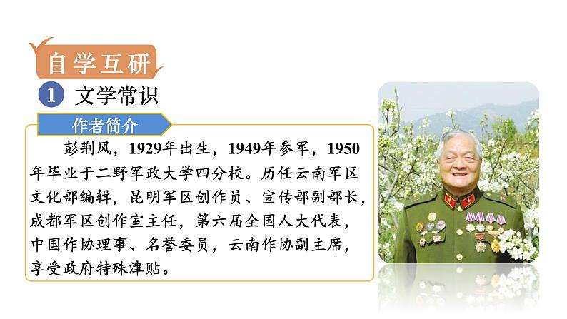 人教版七年级语文下册 第四单元 15 驿路梨花 课件04