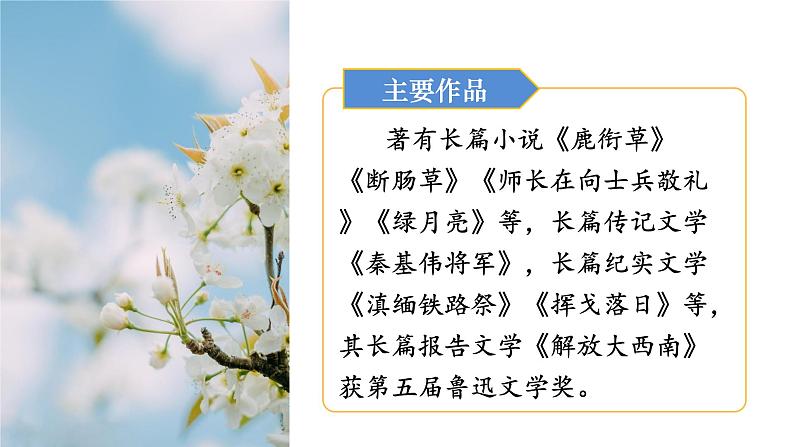人教版七年级语文下册 第四单元 15 驿路梨花 课件05