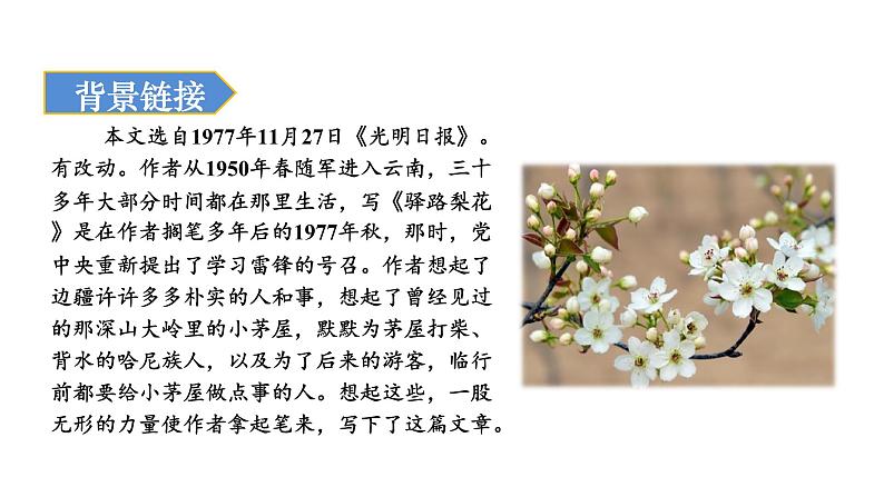 人教版七年级语文下册 第四单元 15 驿路梨花 课件06