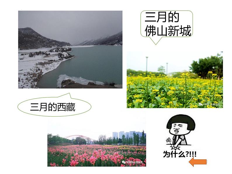 第5课《大自然的语言》课件2021-2022学年部编版语文八年级下册第4页