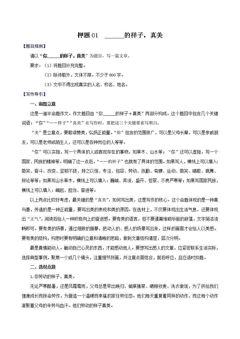 押题01 你______的样子,真美-备战2022年中考语文考场作文押题预测+范文引领第1页