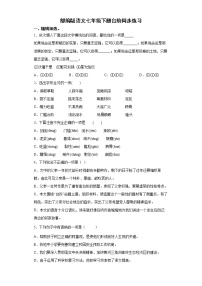 初中语文人教部编版七年级下册台阶精练