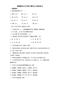 初中语文人教部编版九年级下册第二单元5 孔乙己课堂检测