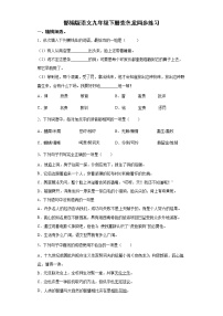 人教部編版九年級(jí)下冊(cè)6 變色龍達(dá)標(biāo)測(cè)試