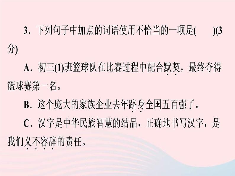 中考语文二轮复习高分突破满分特训4课件(含答案)05