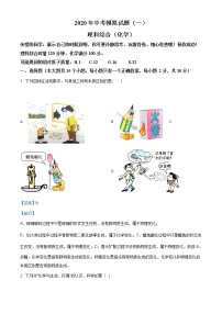 2020年湖南省娄底市中考一模化学试题（含解析）