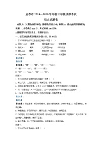 2020年江西省宜春市中考一模语文试题（含解析）