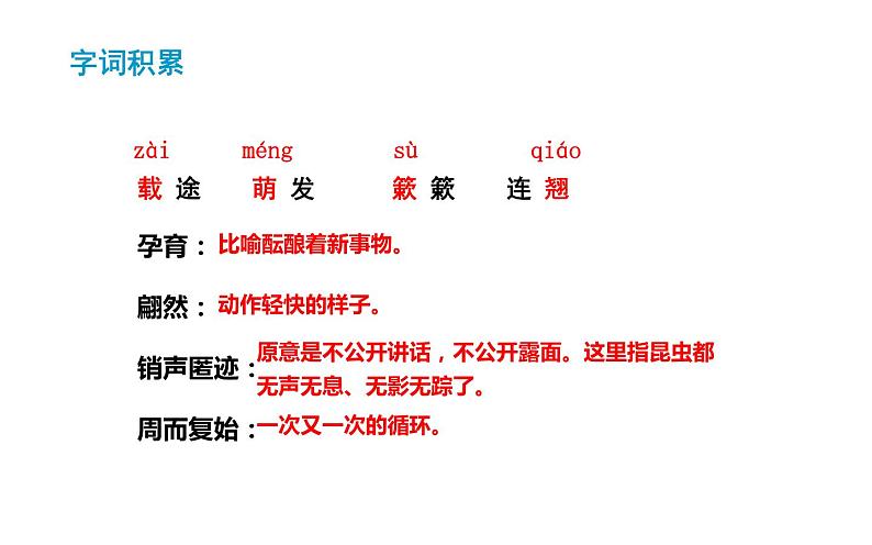 第5课《大自然的语言》(21张)-2021-2022学年部编版语文八年级下册课件PPT第4页