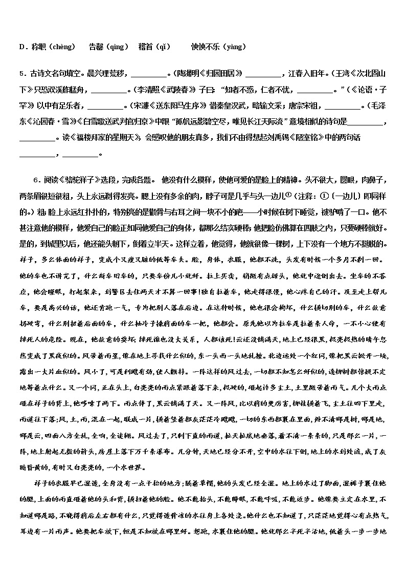 2021-2022学年江苏省苏州市高新区实验重点中学中考语文四模试卷含解析02