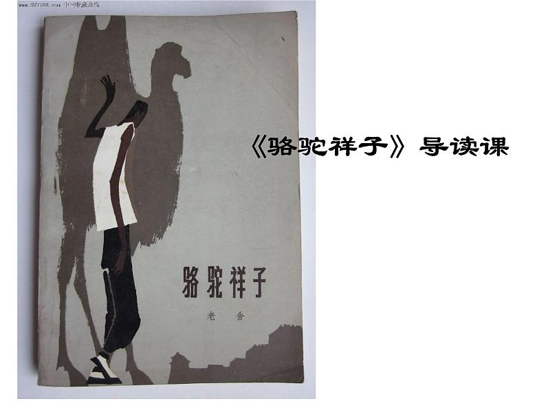部编人教版五四制七年级语文下册《骆驼祥子》导读课课件PPT01
