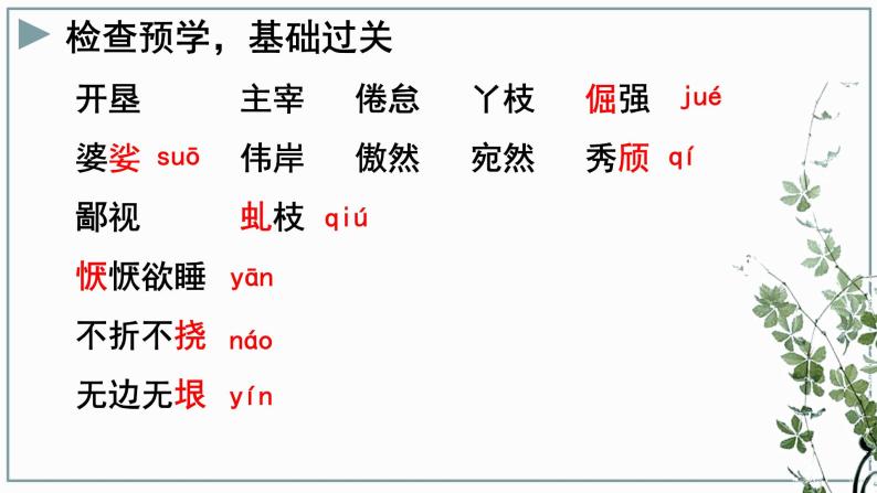 15白杨礼赞课件PPT03