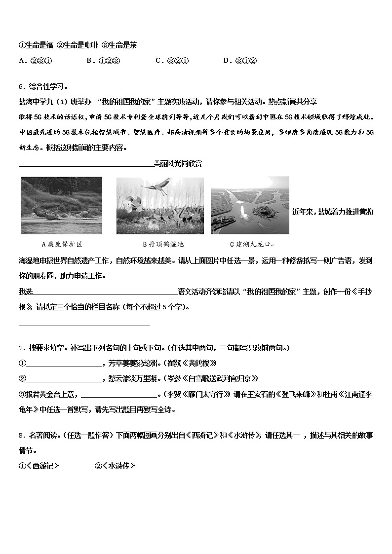 2021-2022学年山东新泰莆田中考语文全真模拟试卷含解析02