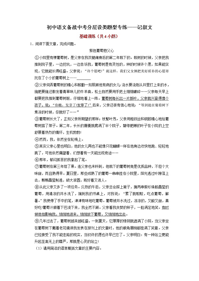 2022年中考语文二轮专题复习:分层设类题型专练——记叙文第1页