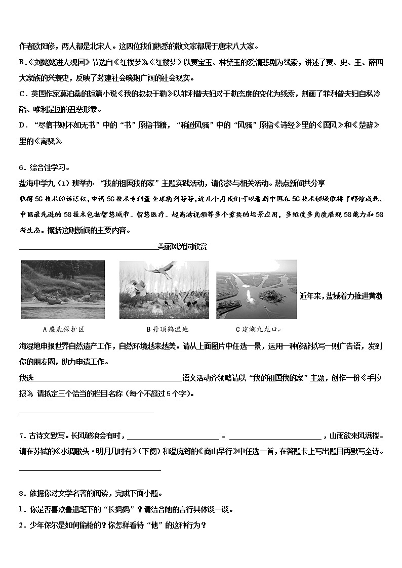 福建省永定区第二初级中学2021-2022学年十校联考最后语文试题含解析02