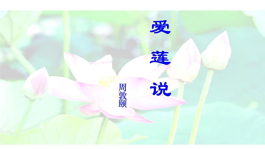 部編版七年級(jí)語文下冊(cè)----17 短文兩篇·愛蓮說課件第2頁