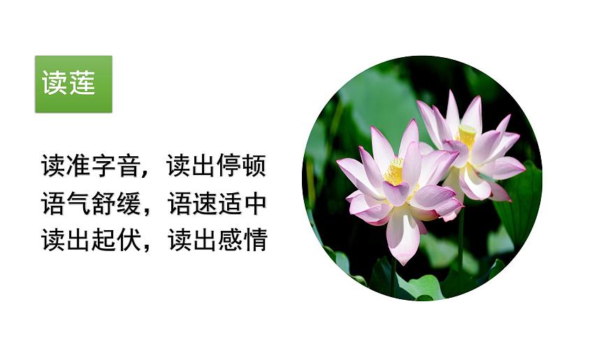 部編版七年級(jí)語文下冊(cè)----17 短文兩篇·愛蓮說課件第3頁