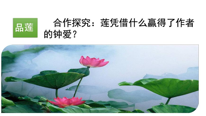 部編版七年級(jí)語文下冊(cè)----17 短文兩篇·愛蓮說課件第5頁