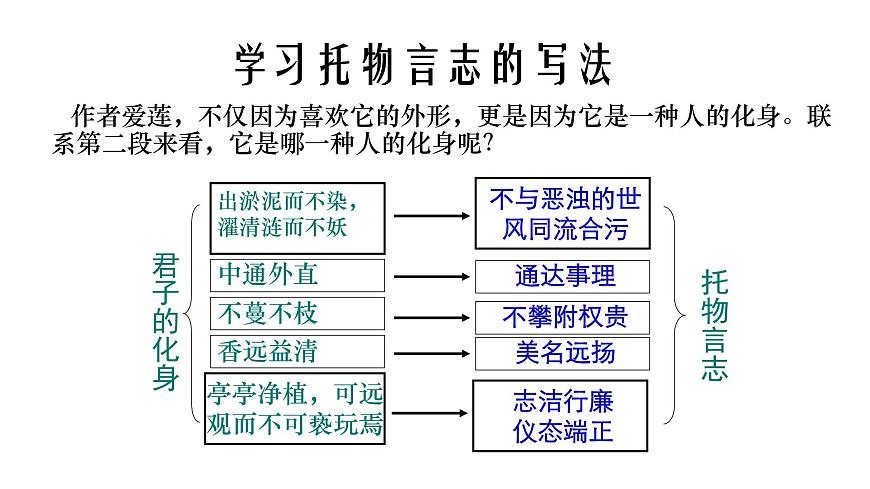 部編版七年級(jí)語文下冊(cè)----17 短文兩篇·愛蓮說課件第7頁