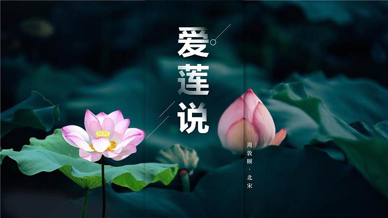 部编版七年级语文下册课件----短文两篇-爱莲说第1页