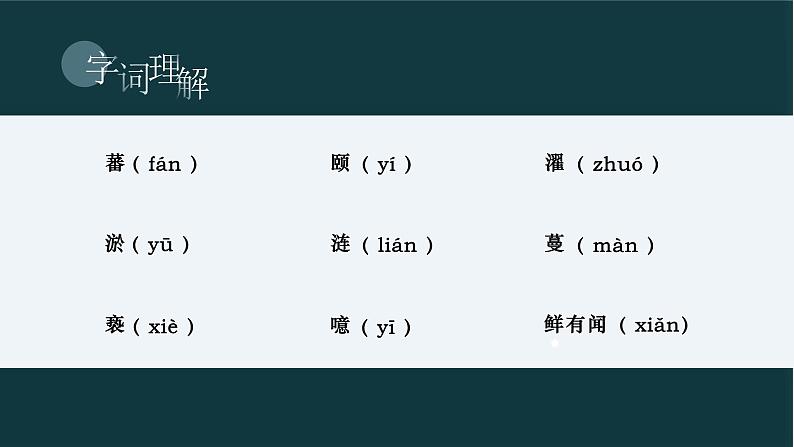 部编版七年级语文下册课件----短文两篇-爱莲说第7页
