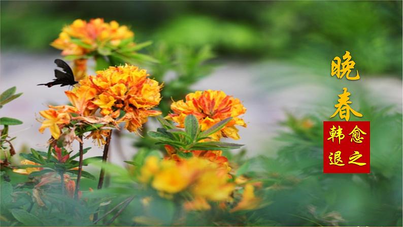 部编版七年级语文下册课件----《晚春》第2页