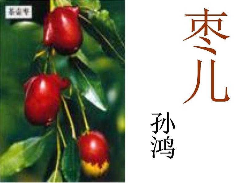第19课《枣儿》课件(共23张PPT)2021—2022学年部编版语文九年级下册01
