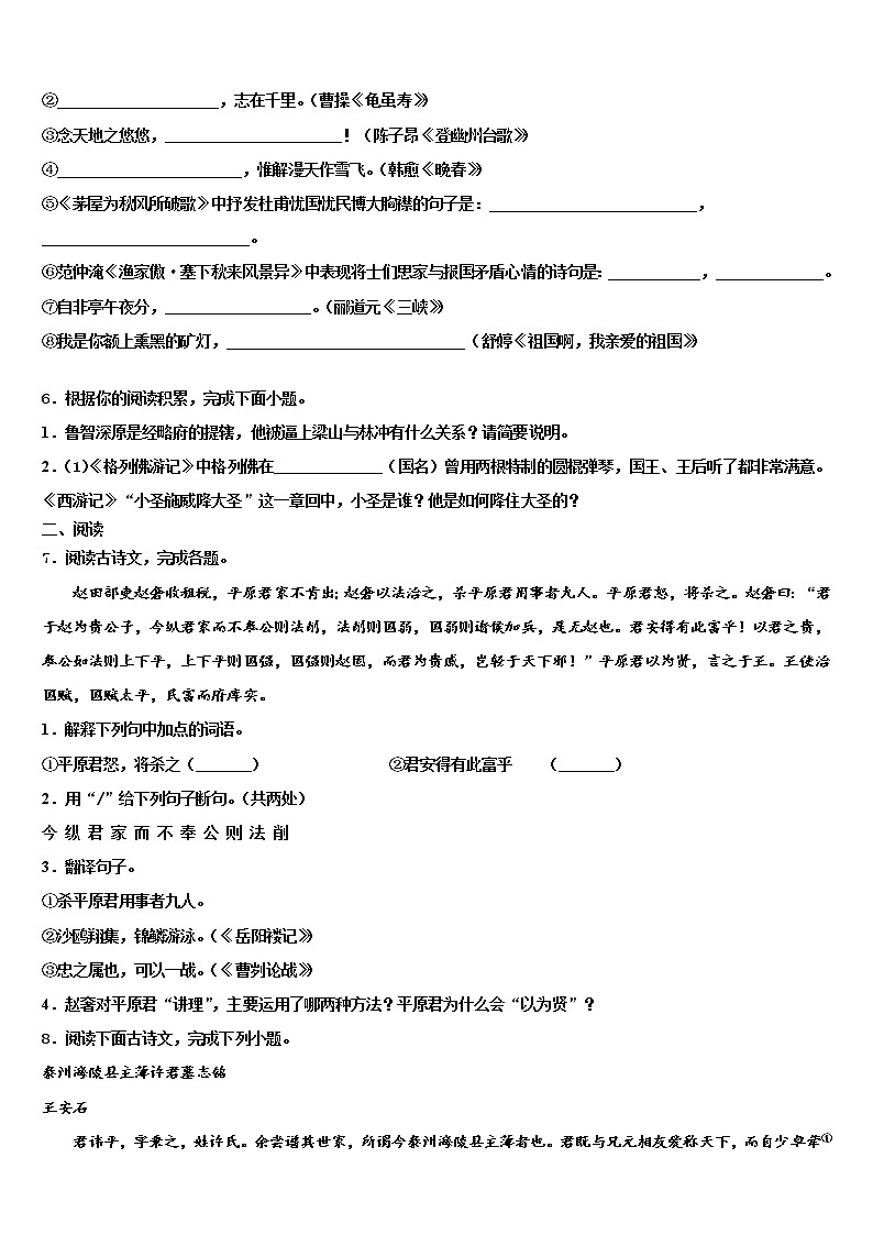 2022年广东湛江二中学港城中学初中语文毕业考试模拟冲刺卷含解析02